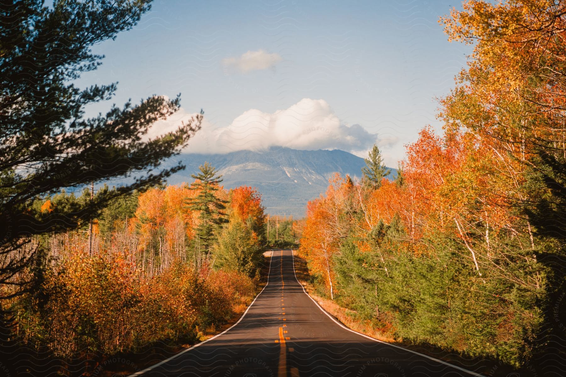 A road running through the middle of a forest with trees changing color in the fall.