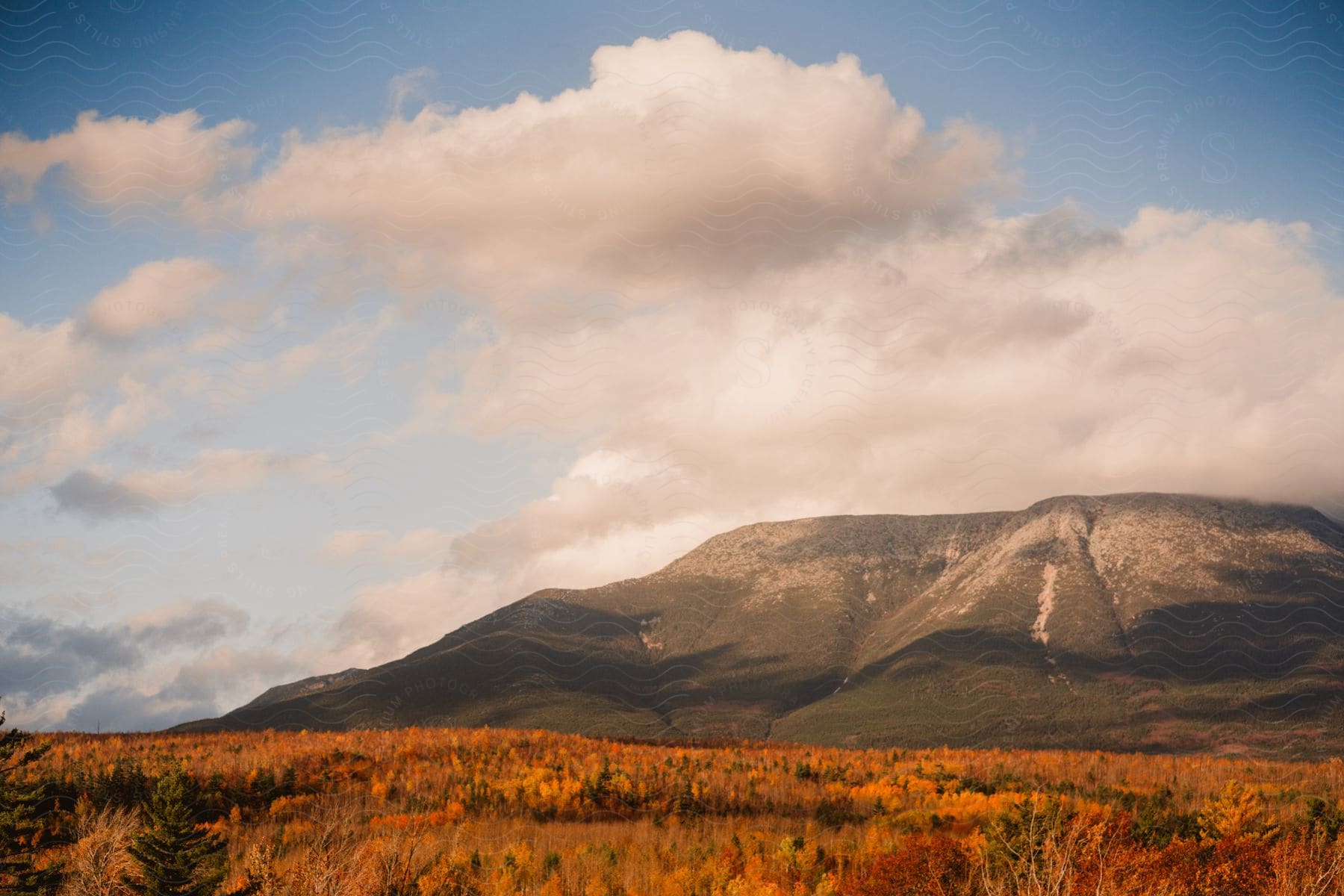 Fall turned trees sitting below a large rock mountain on a cloudy day.