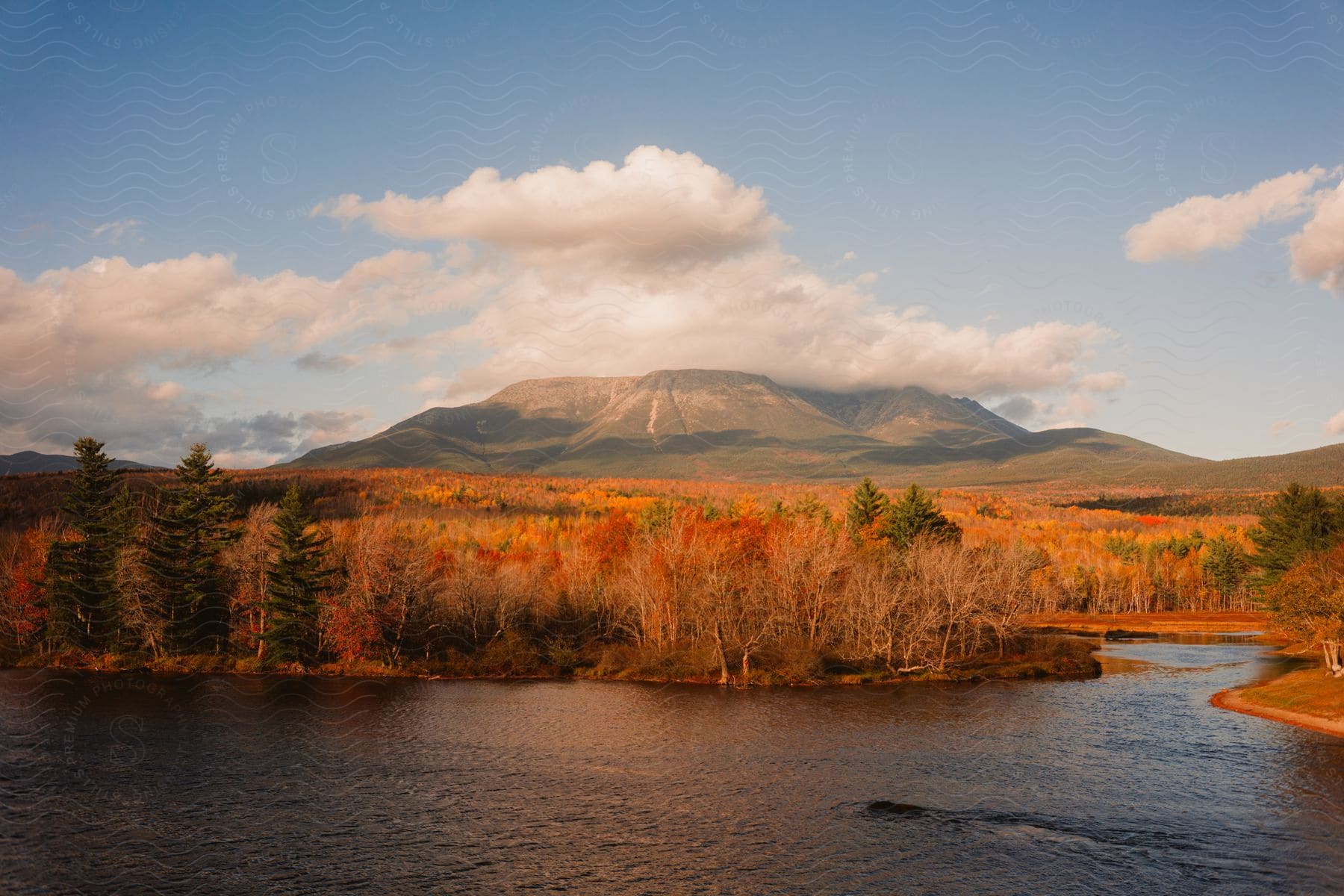 a river running through a forest filled with trees with leaves changing color with a mountain in the background