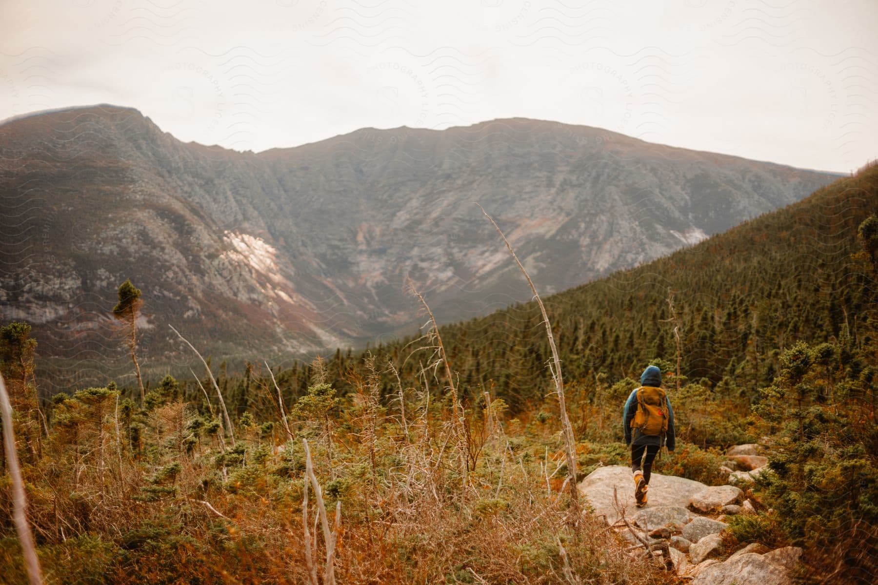 A hiker takes in the autumn views from atop a rock, backpack slung over their shoulder, mountains in the distance, fog rolling in.