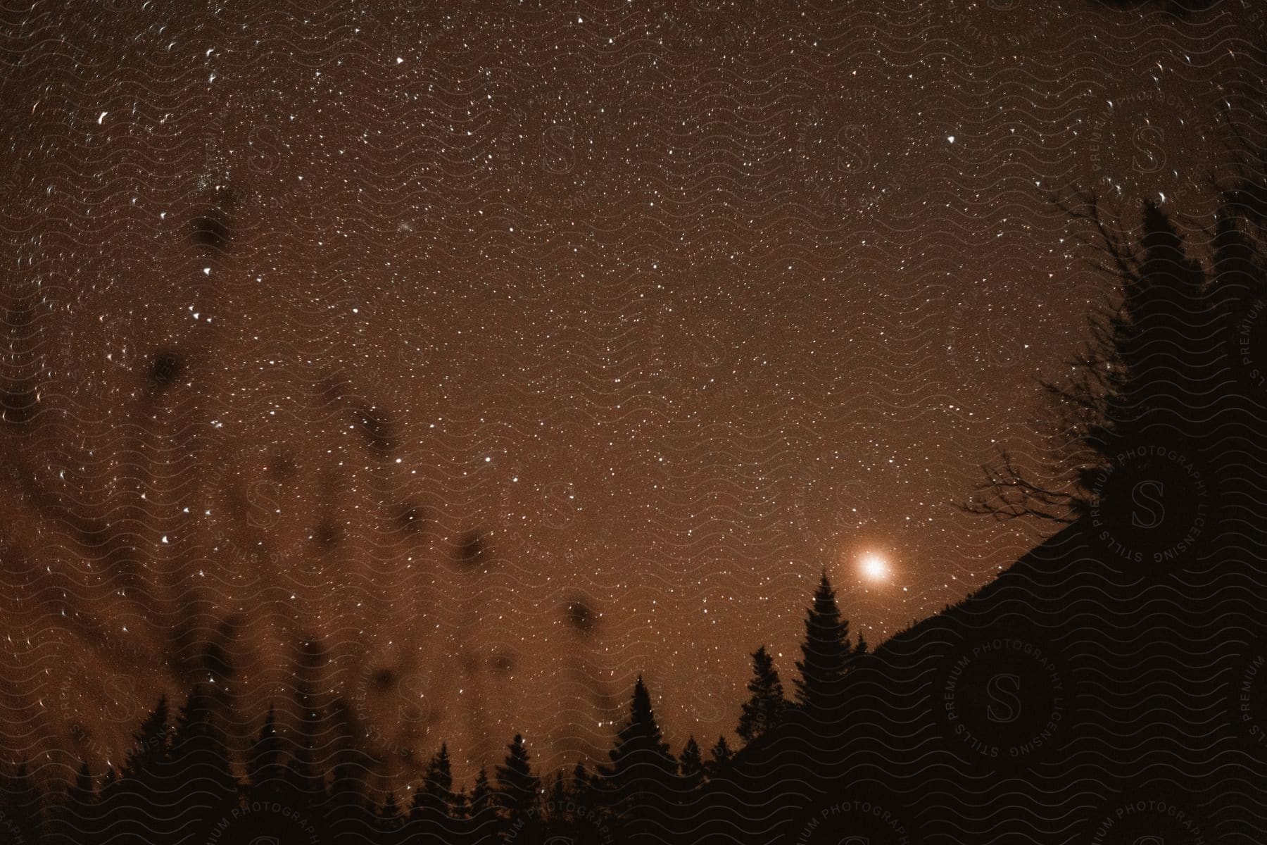 The night sky with many stars present in the light brown toned sky.