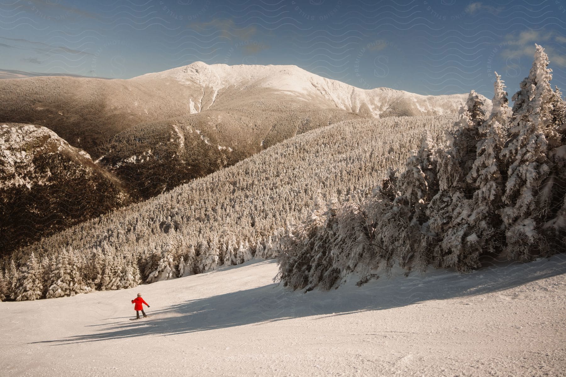 A snowboarder in a red jacket streaks down a snow-capped mountain, framed by trees and a blue sky.