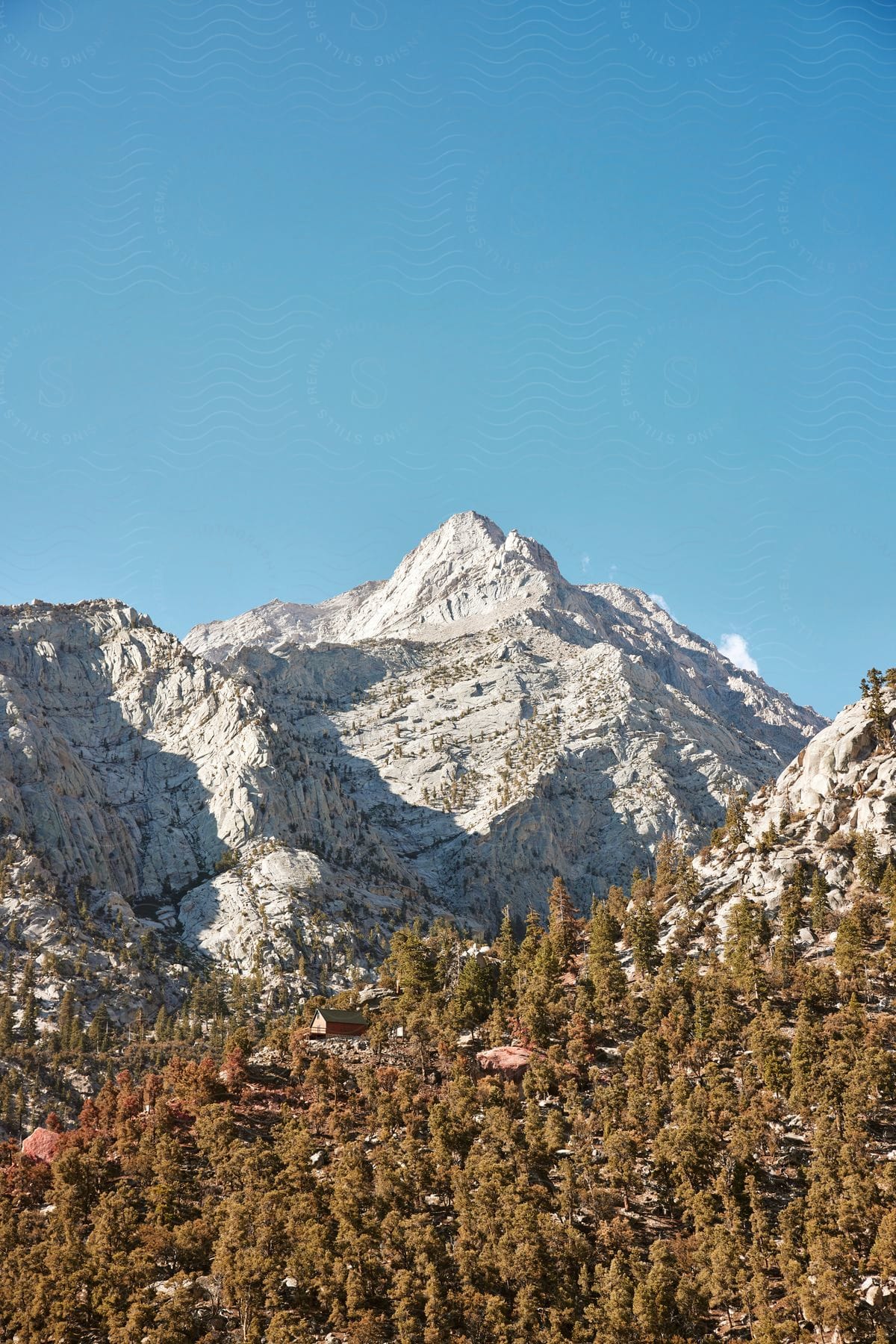 natural landscape of a mountain range with forest areas around them against a blue sky during day time