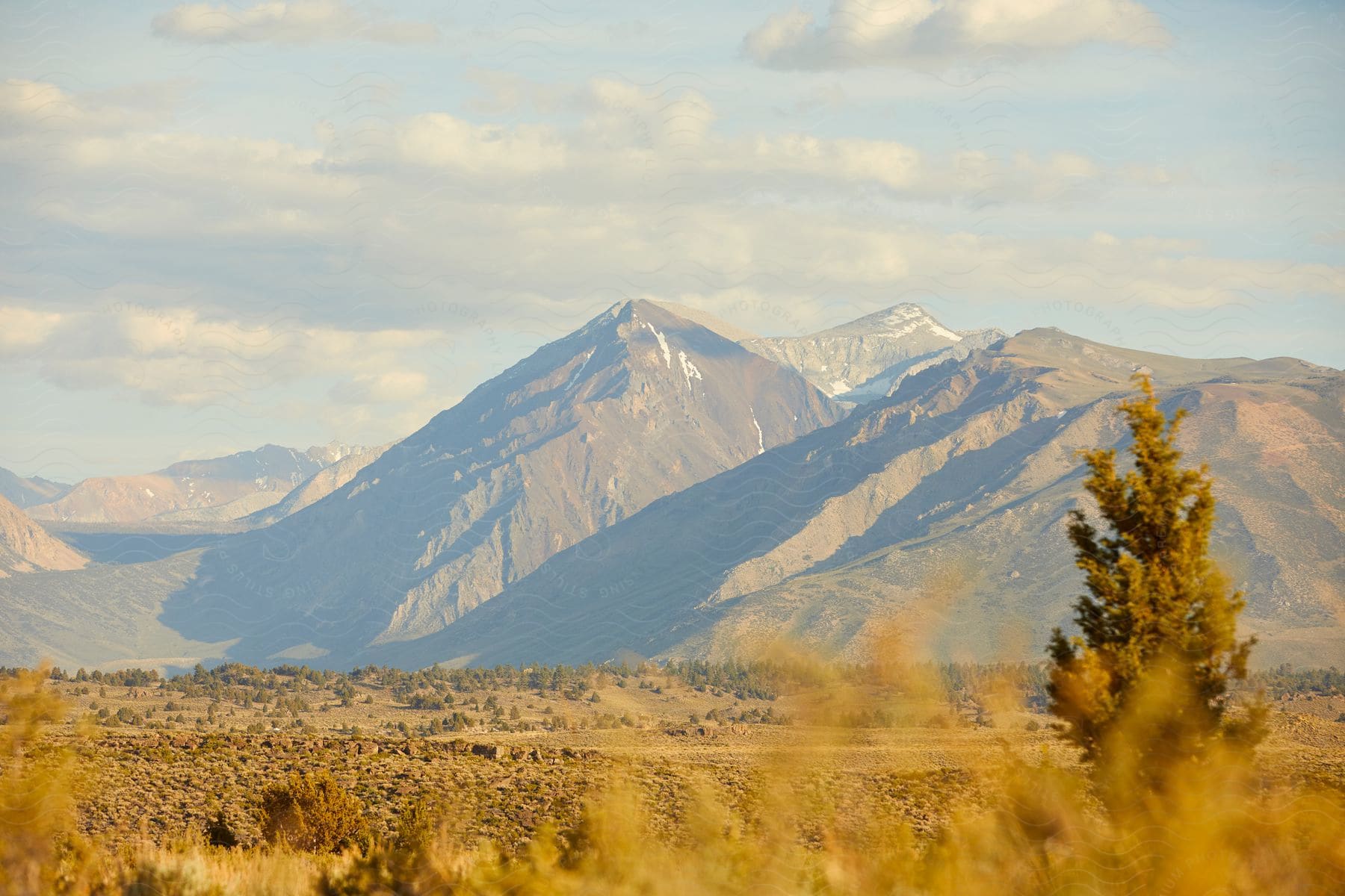 Golden Grass Plains And Mountains In The Distance On Cloudy Day