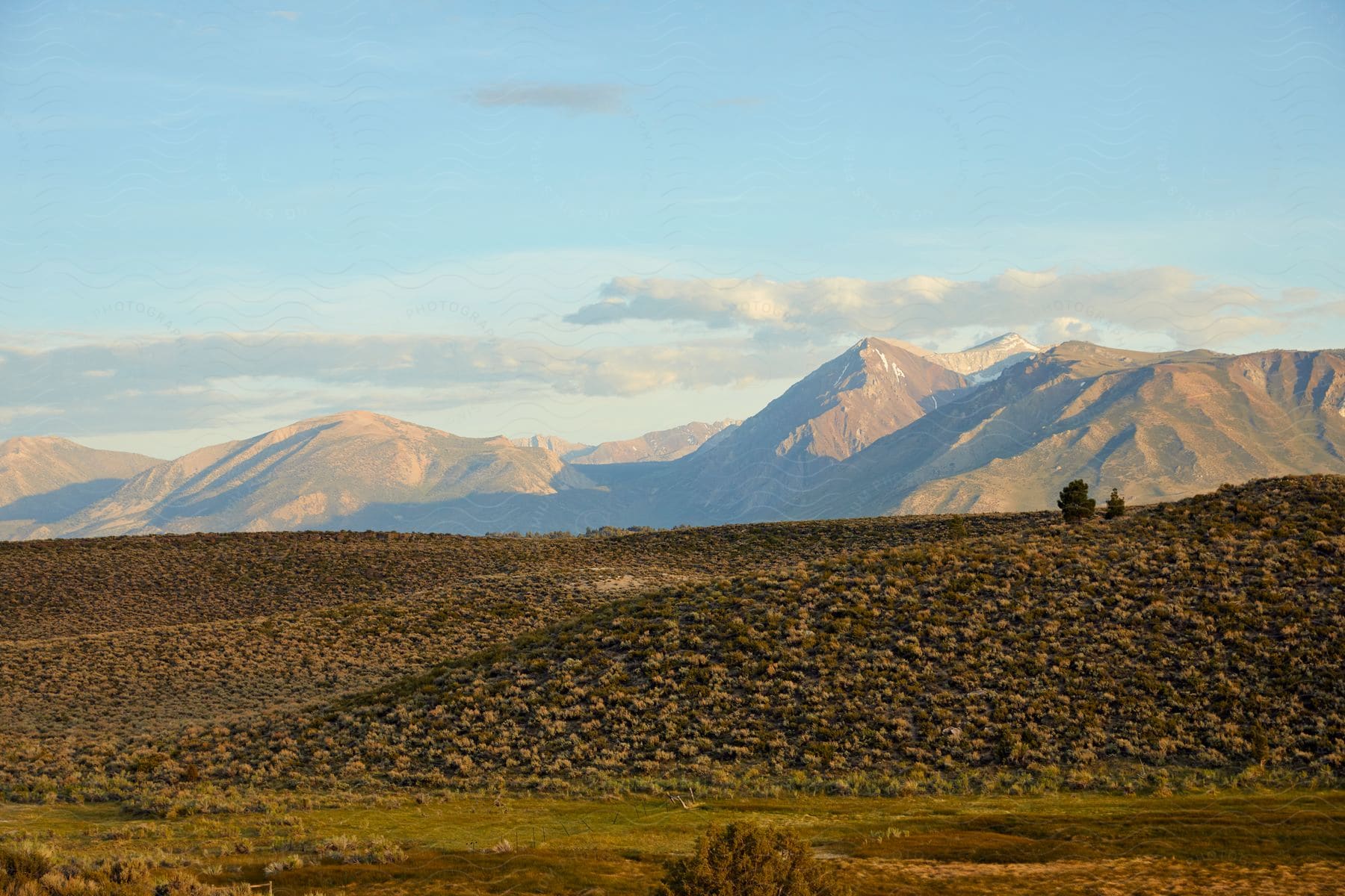 Mountain range and golden plains