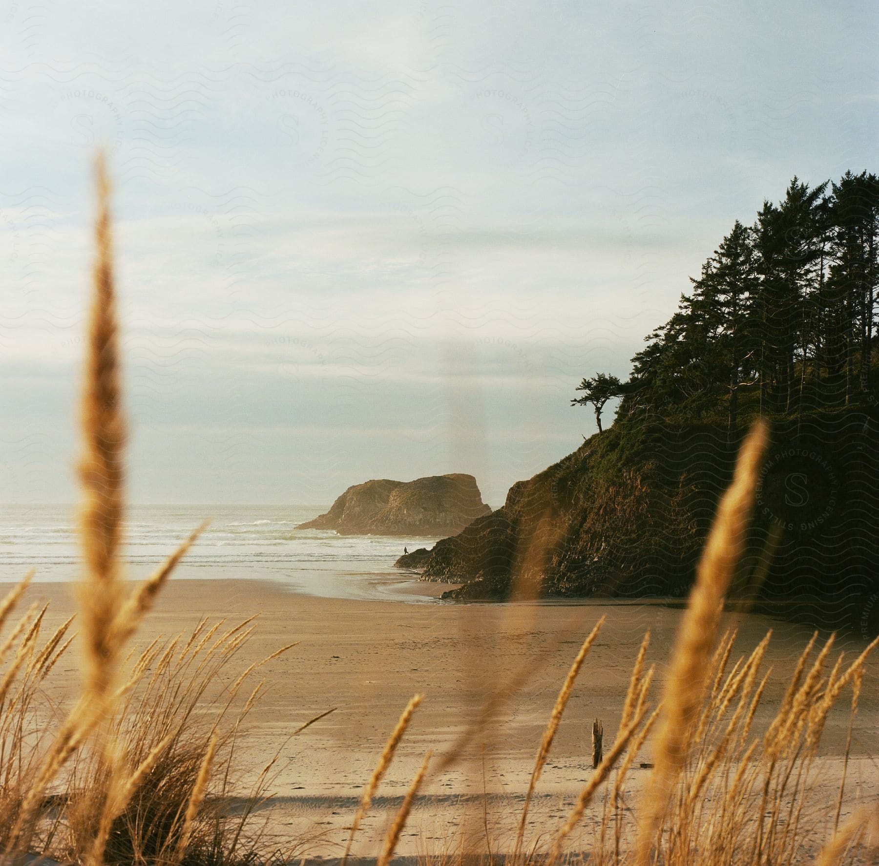 A large rock and a forested promontory jut out into the ocean away from the beach.