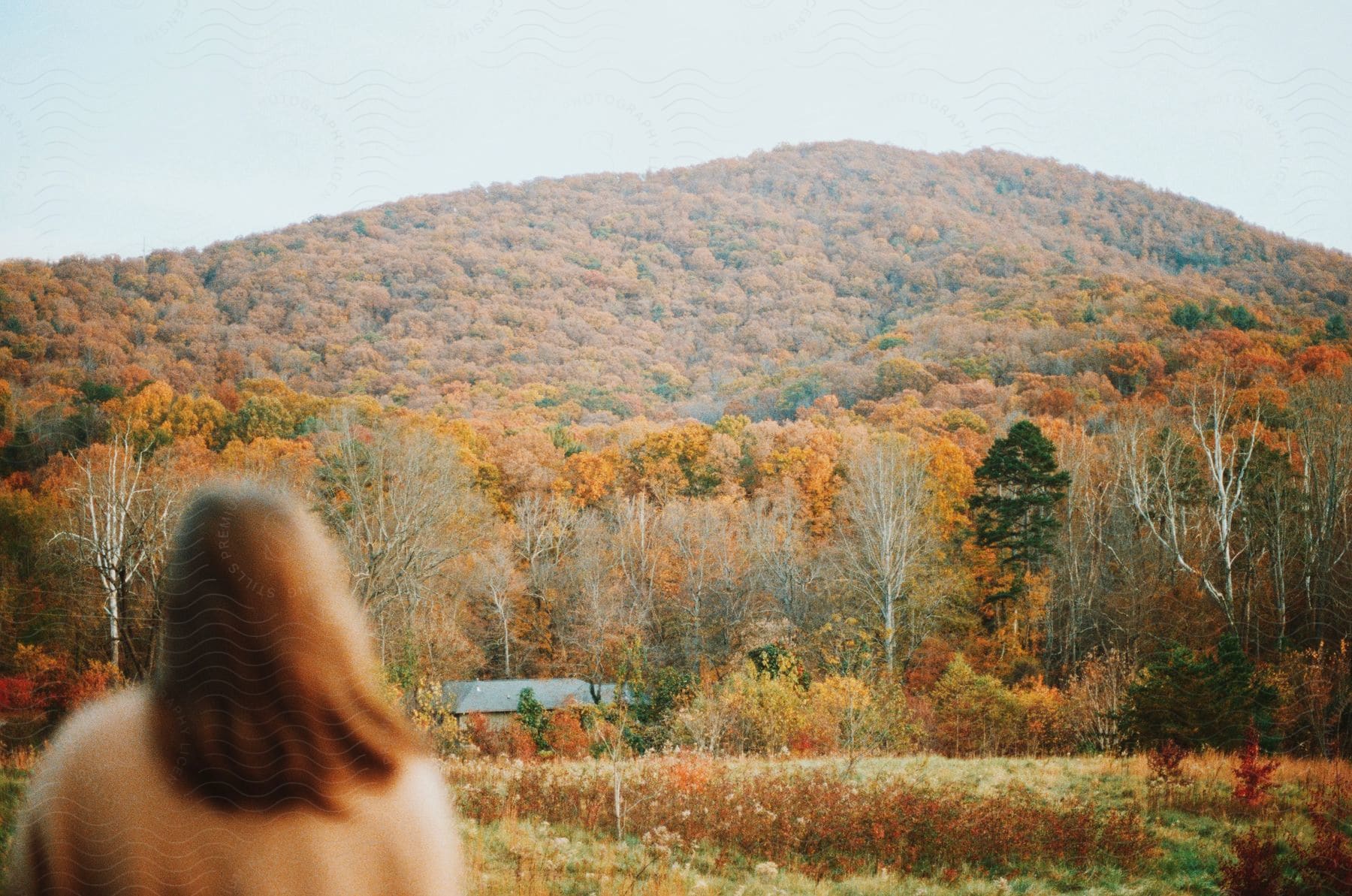 The woman with brown hair gazes at the brown, forested mountains in the distance