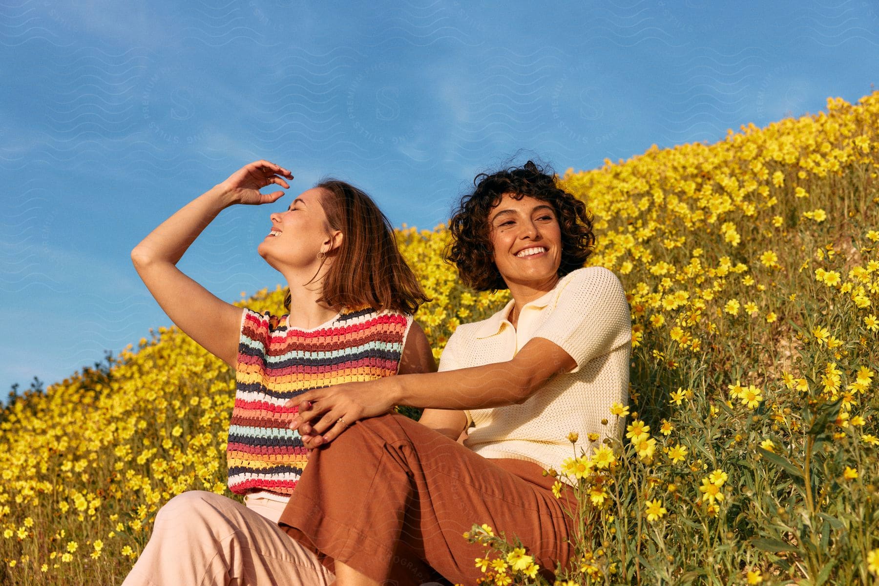 two young woman seated on a farm filled with plant with yellow flowers while laughing