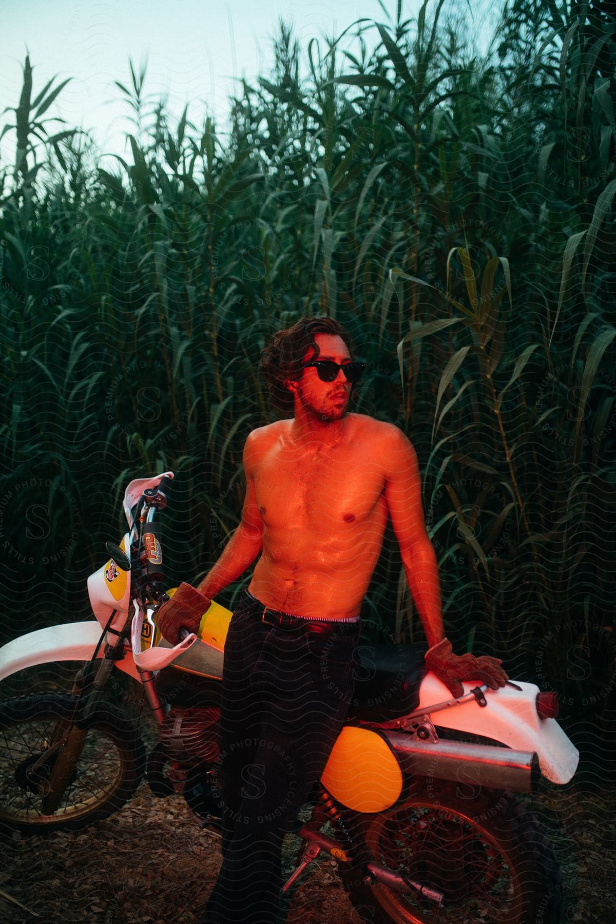 A shirtless man wearing sunglasses stands in front of a motorcycle in a corn field, bathed in the warm glow of amber light.