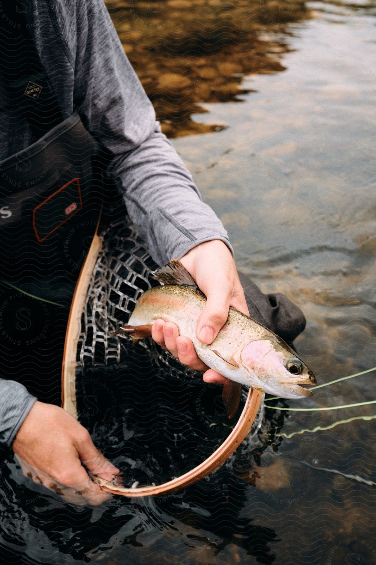 Man Holding Fishing Net And Trout In, Stock Image 229479