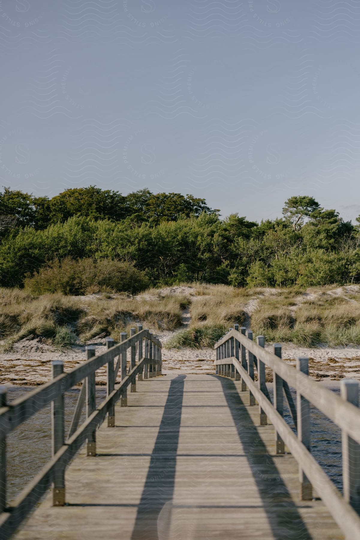 The sun shines on a narrow wooden bridge over water that leads to a sand and brush covered shore