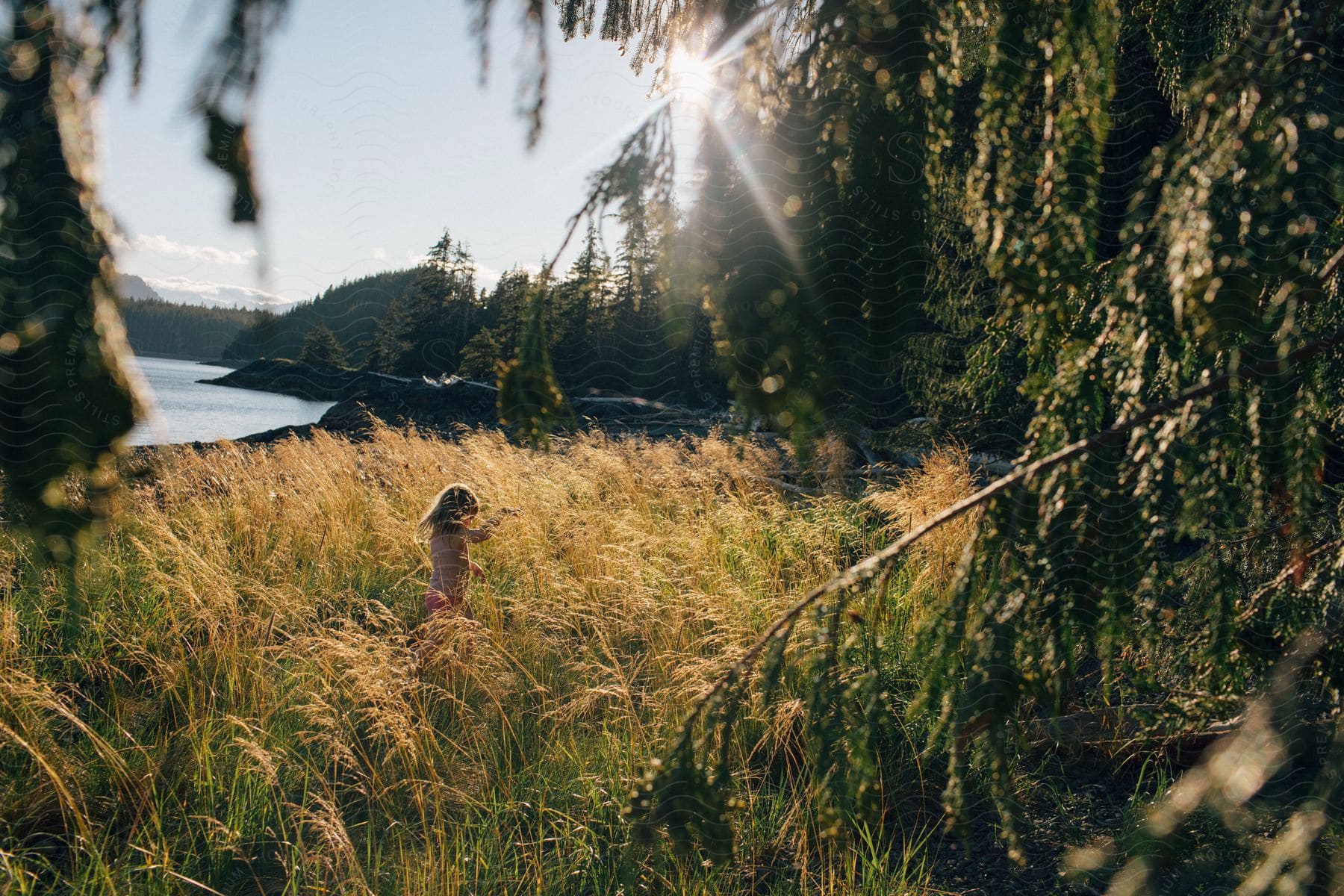 a girl runs through tall weeds near a lake