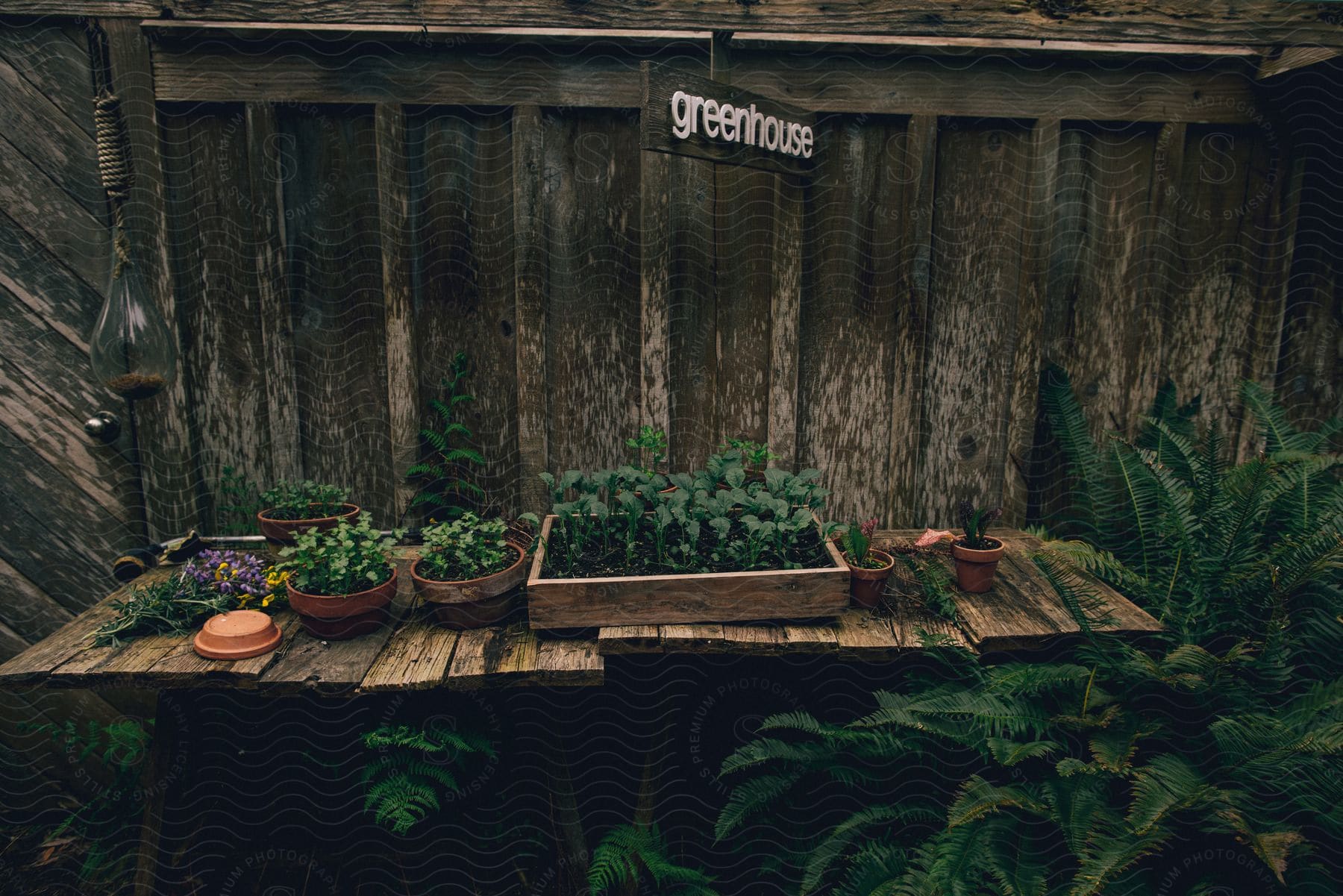 Plants sit on and around work table under a sign for a greenhouse.