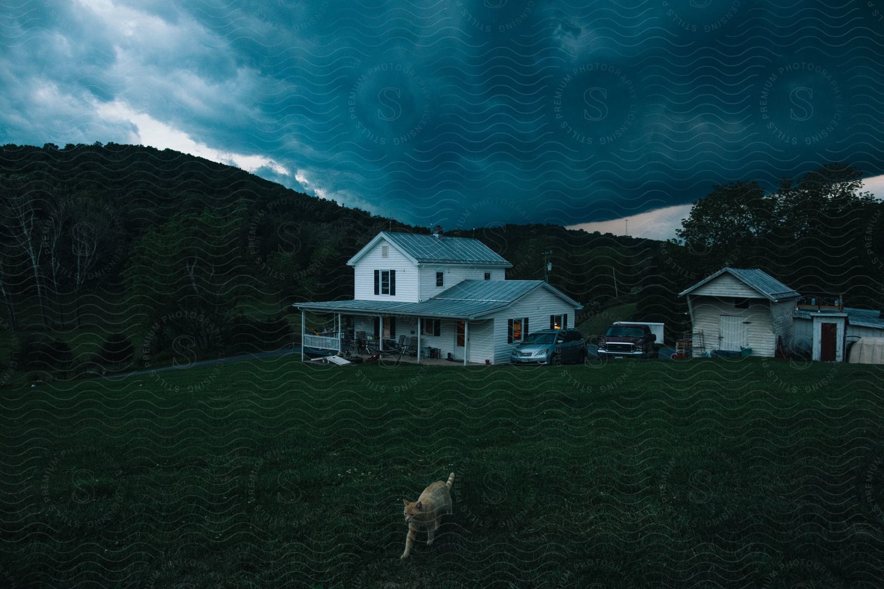 A cat strolls through the grass in the foreground of a rural house, a truck and van in the distance, as a storm brews over the hill.