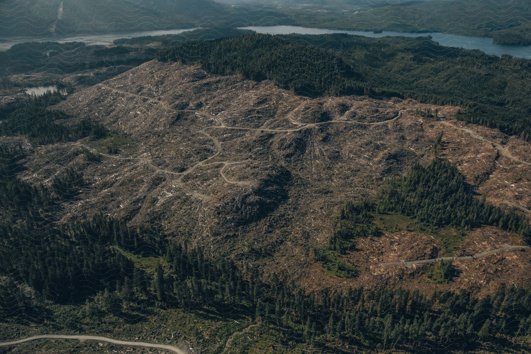 Aerial view of a hillside forest, stripped of its trees by deforestation.