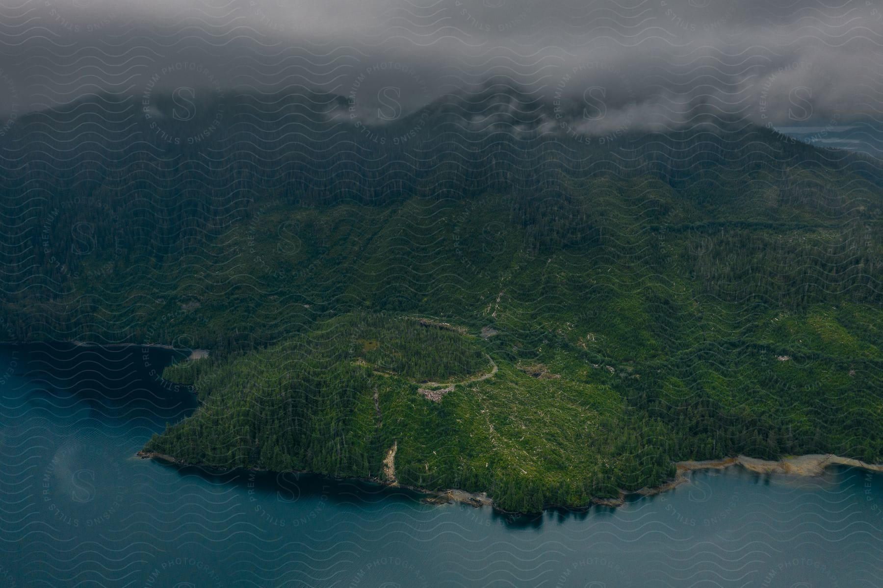 Aerial view of a verdant island with a tree-covered mountain and winding roads.