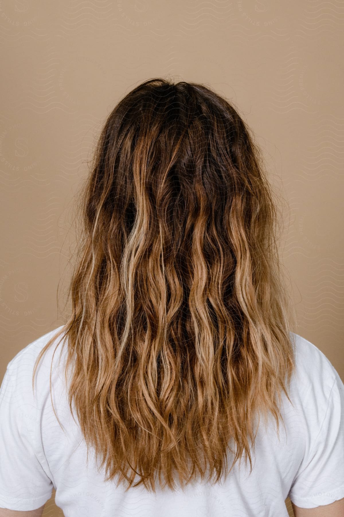 A woman with her back turned, showcasing her hair with highlights.