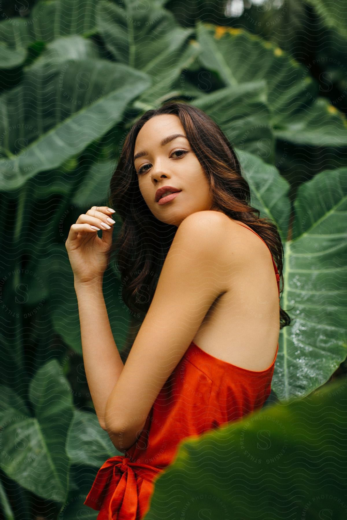 A woman is standing in a tropical forest as she turns her head and smiles