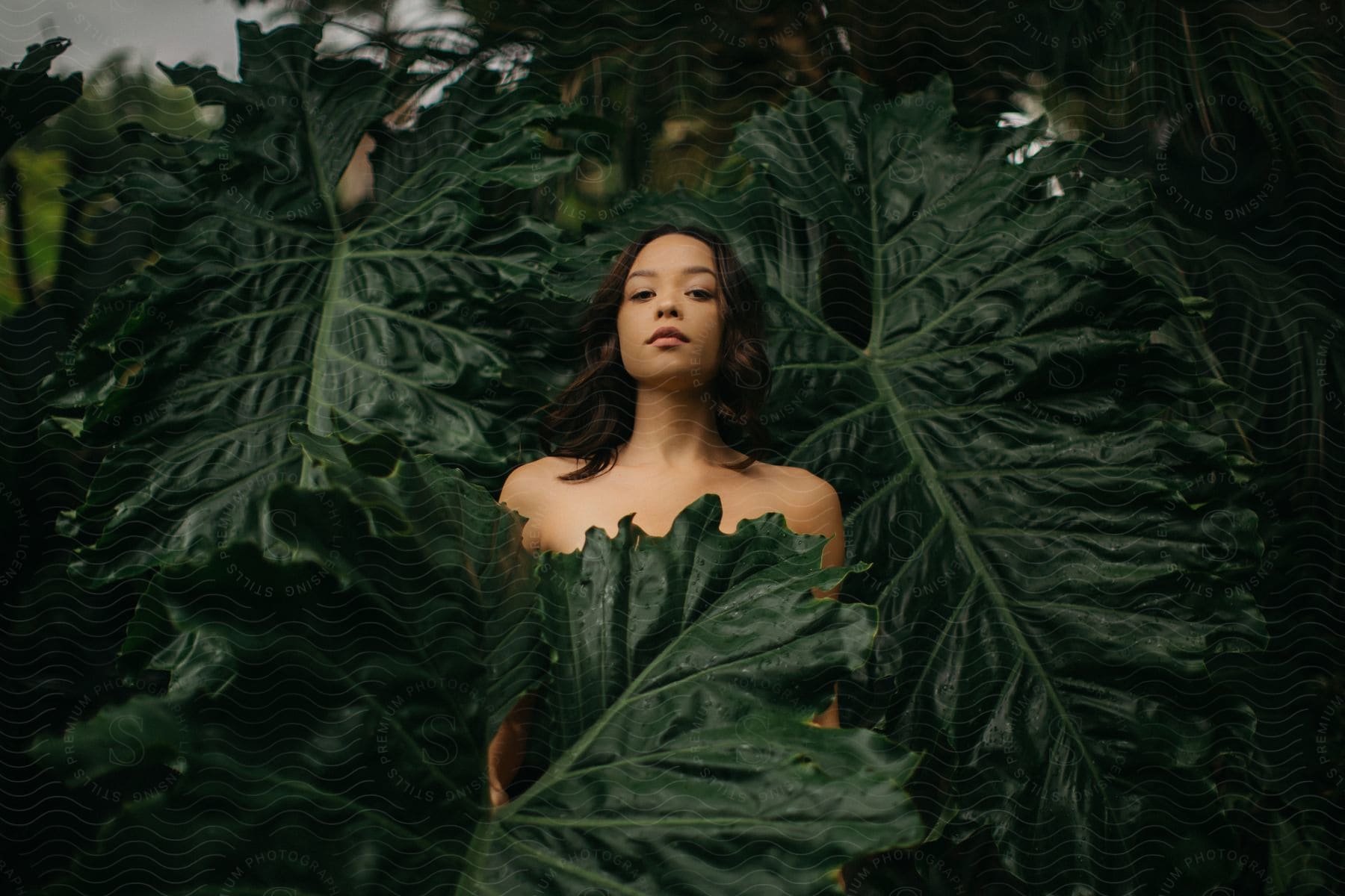 A woman with bare shoulders and shoulder-length brunette hair poses with giant Alocasia leaves covering her body, looking straight ahead.