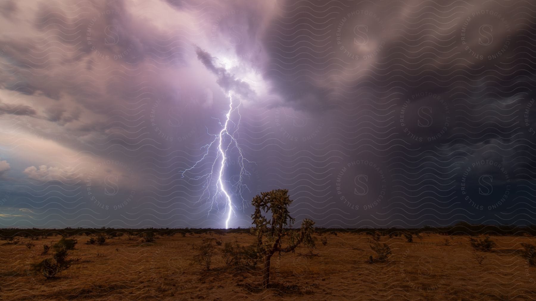 Trees and plants stand across the desert under a dark stormy sky as a bright lightning bolt hits the ground in the distance