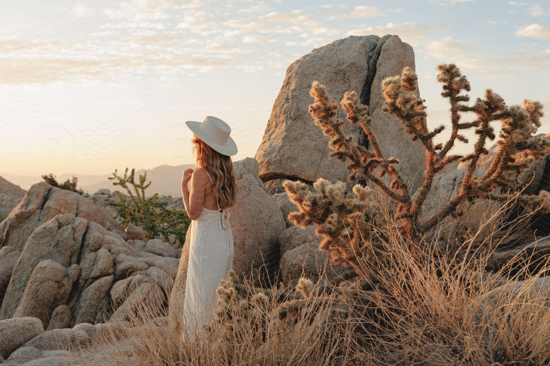 A woman with long brown hair wearing a white sunhat and sundress is standing near plants and boulders as she looks at mountains in the distance