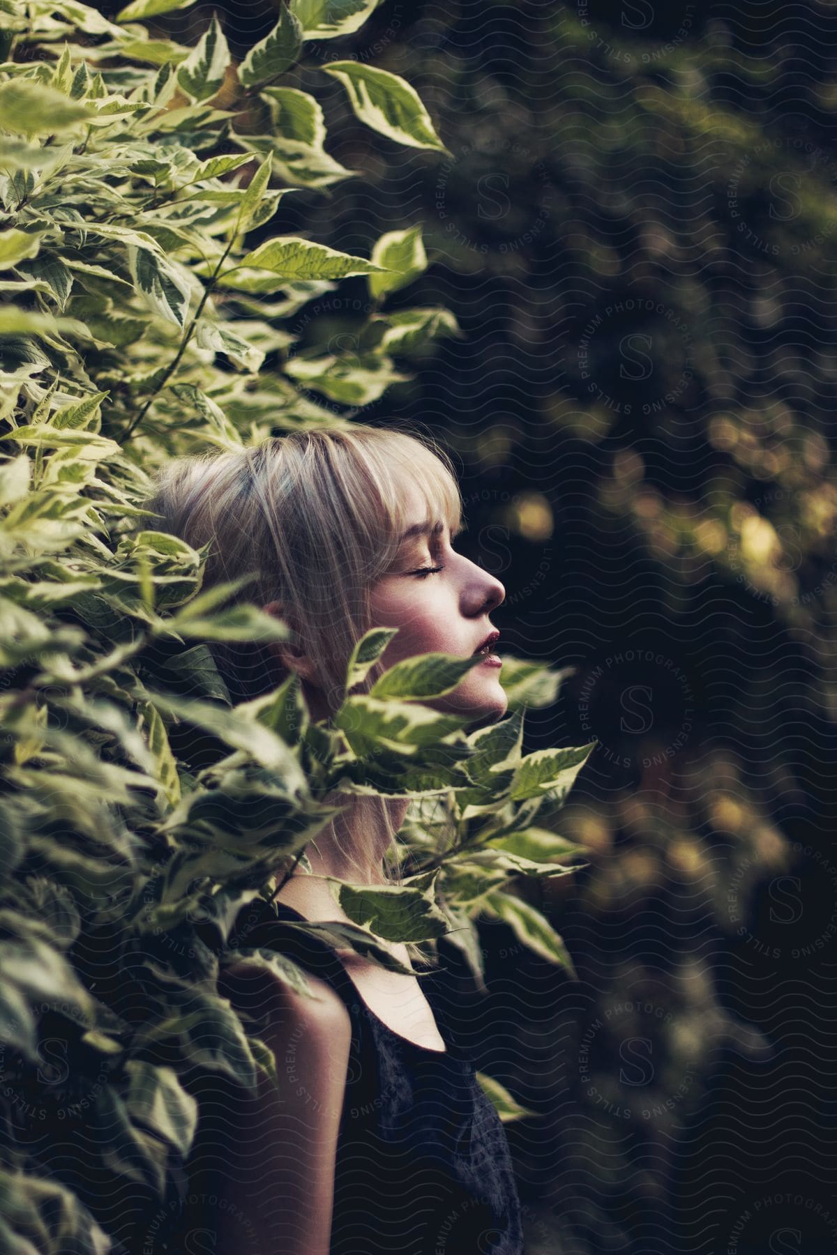 Sunlight shines on the face of a woman standing near a bush in the woods