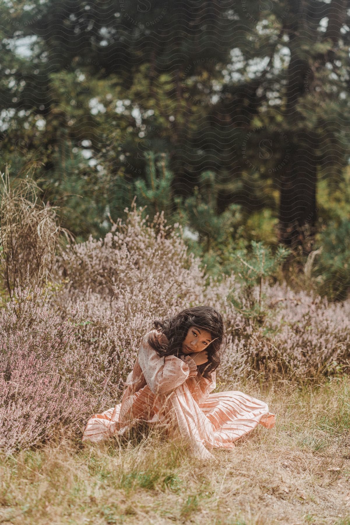 A girl is sitting in a meadow near a wall of pine trees.