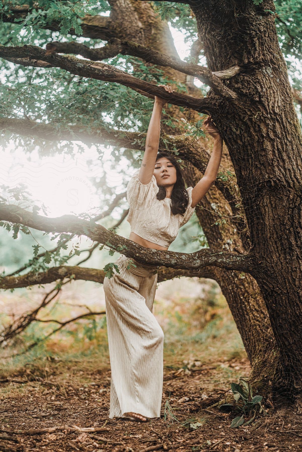 A woman with puffy sleeves and a long skirt, her bare belly hidden by a tree branch, stands in a sunlit forest, her hands on a branch above her.