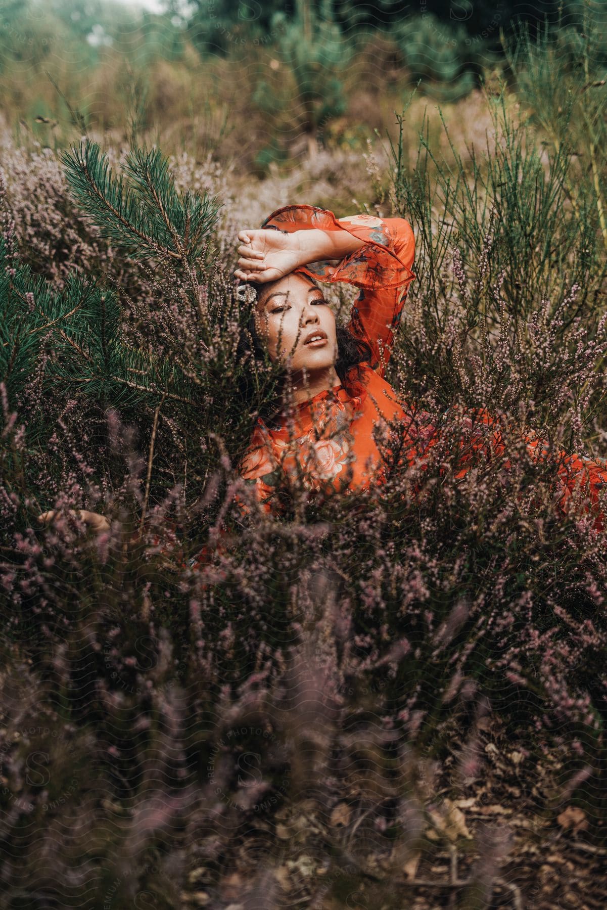 Woman modeling for the camera laying in the grass in nature.