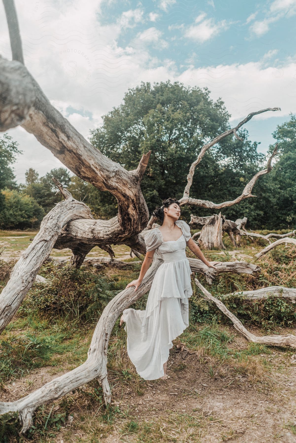 A lady leans on a fallen tree trunk.