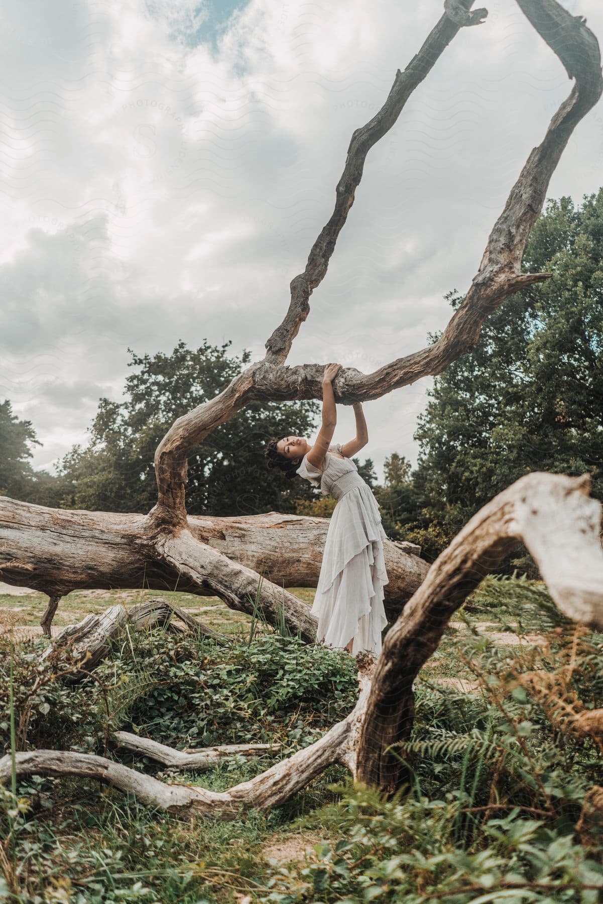 an Asian model is holding and standing into a tree branch while wearing a gown