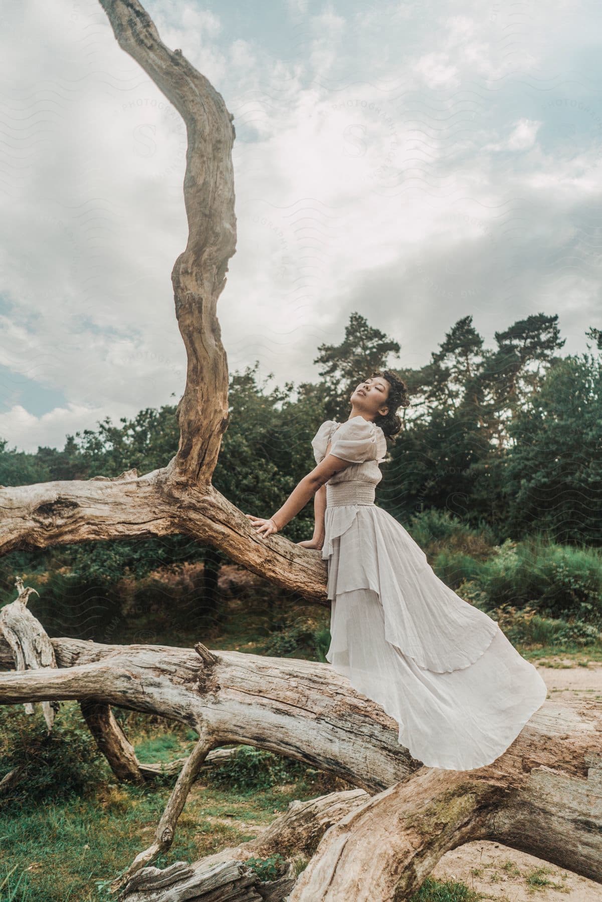 young lady in white gown stands on a fallen tree at mid-day