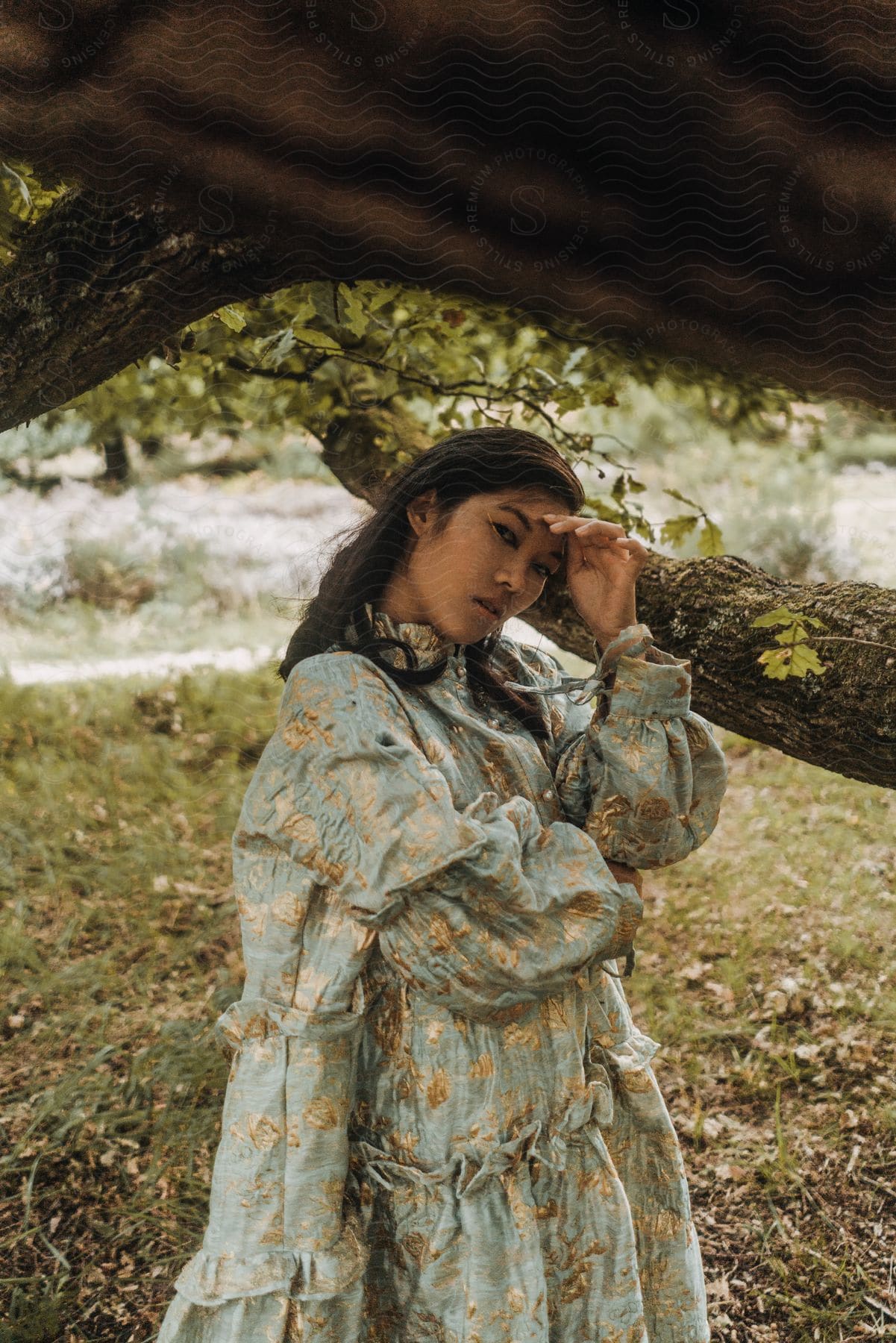 A woman in a large blue and golden dress poses under tree branches.