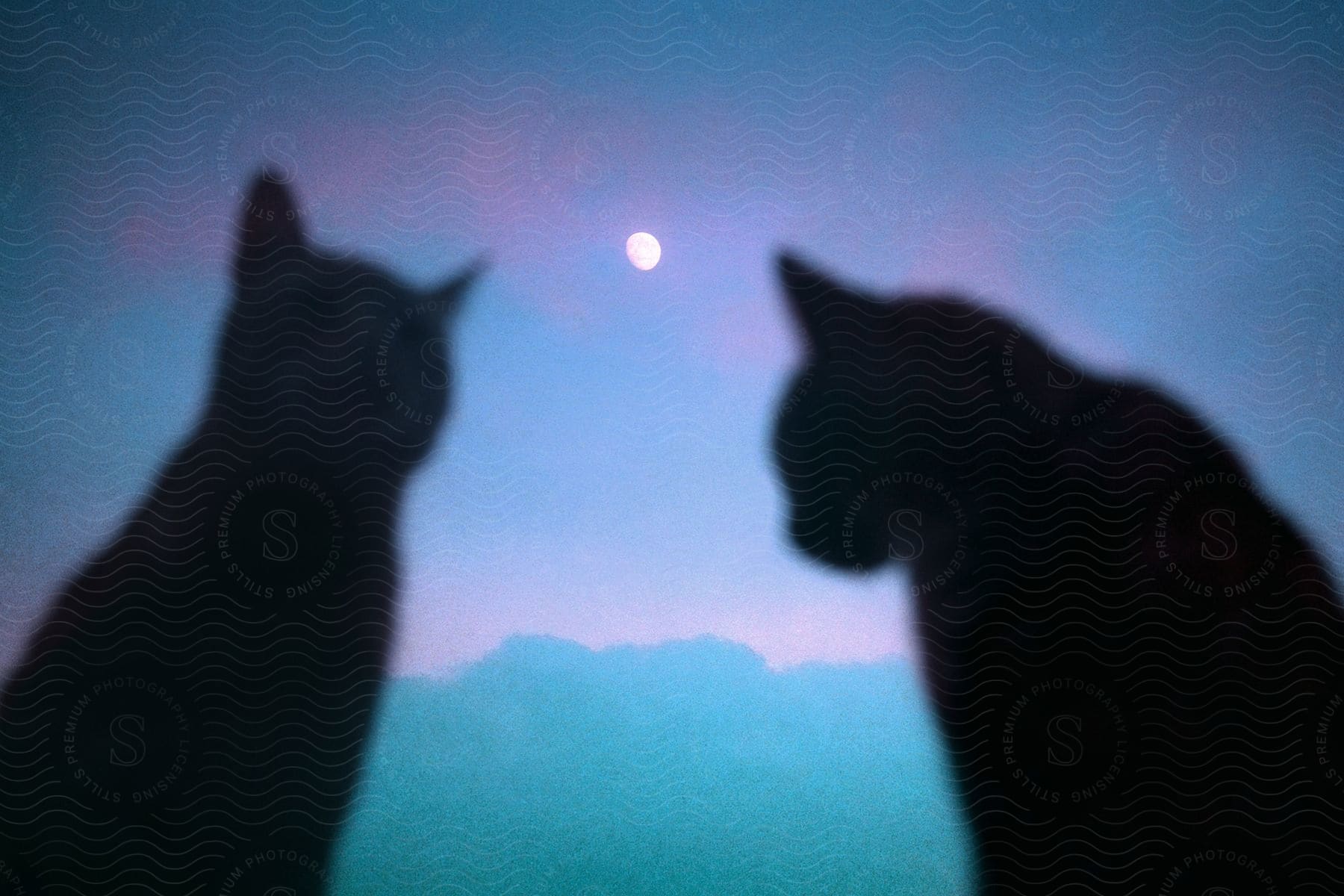 the silhouettes of two cats watching the moon at night.