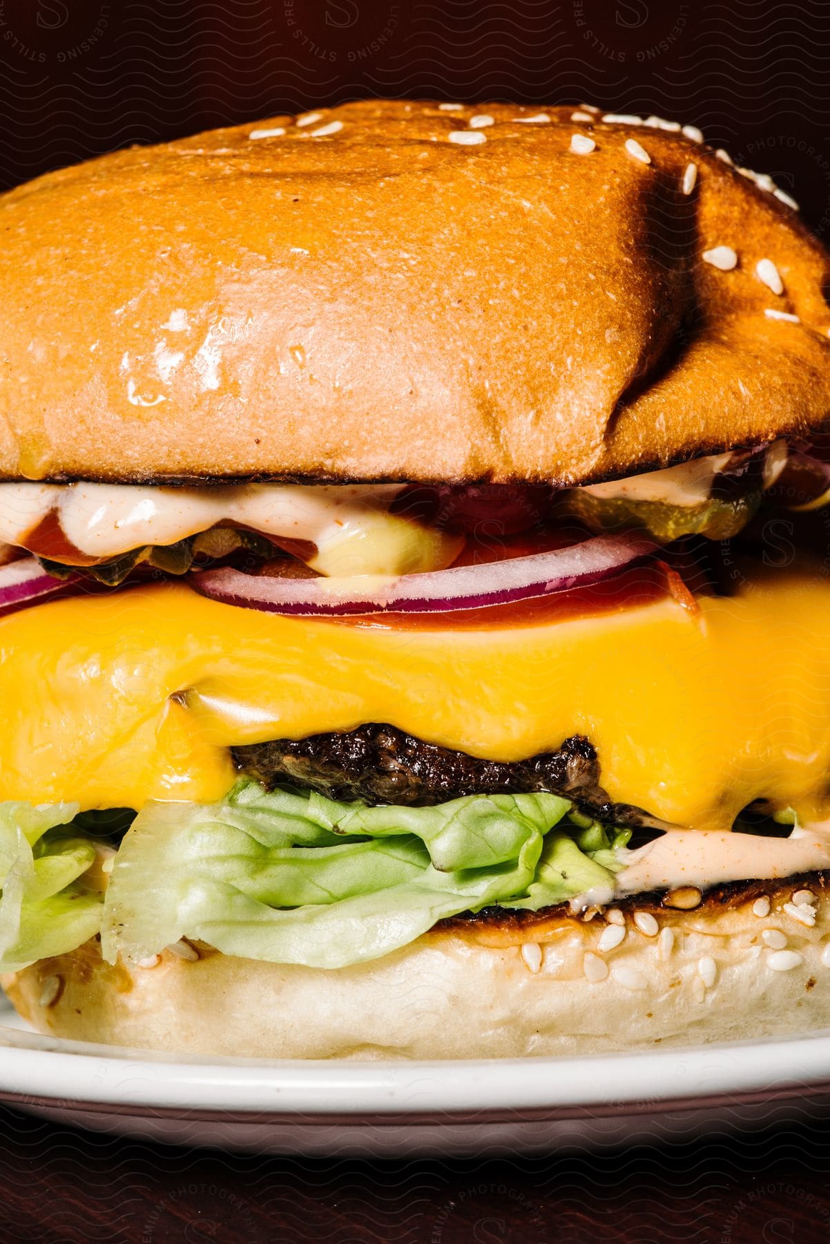 Close-up of a burger with cheddar cheese.