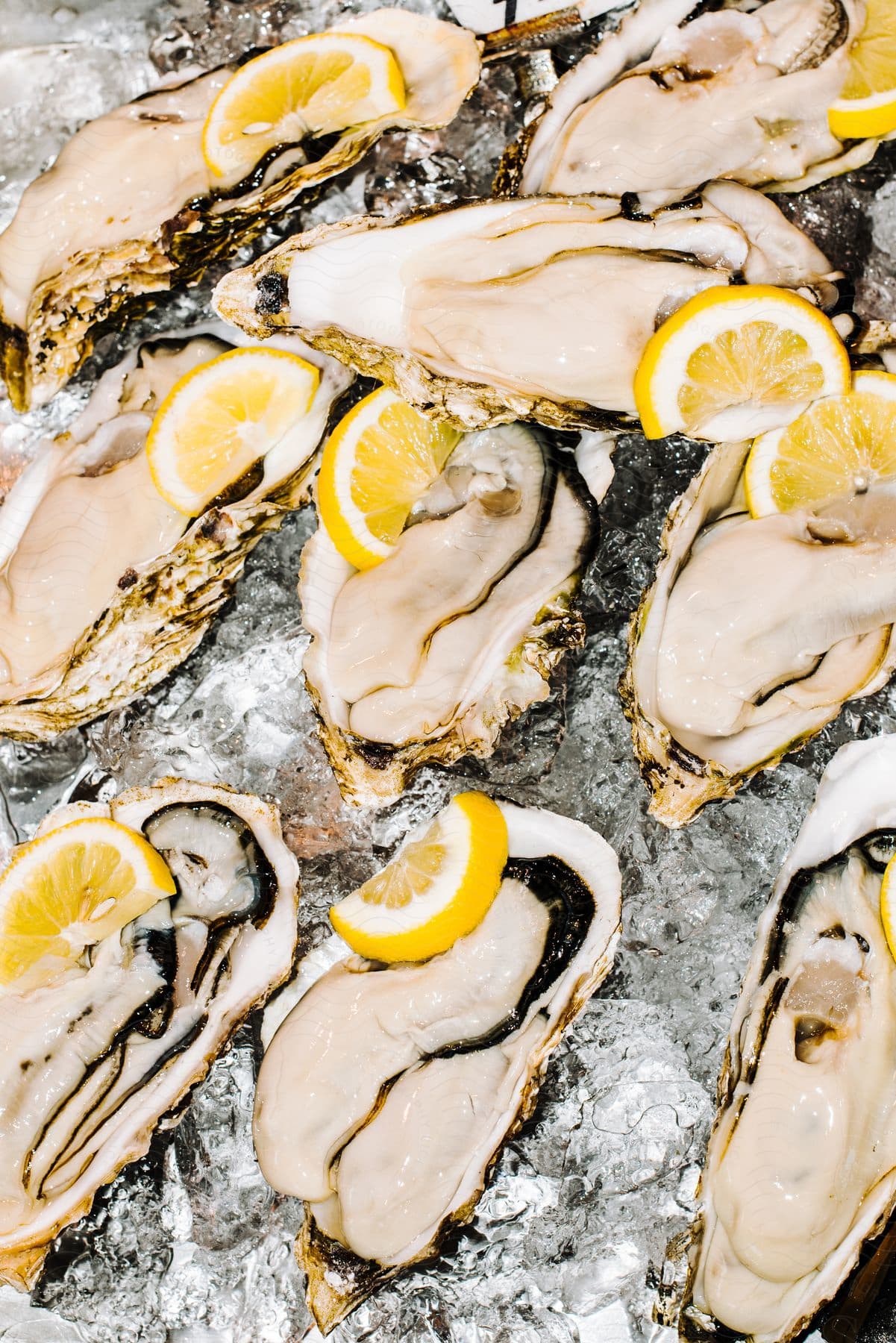 A platter of fresh, raw oysters on ice, garnished with lemon slices.