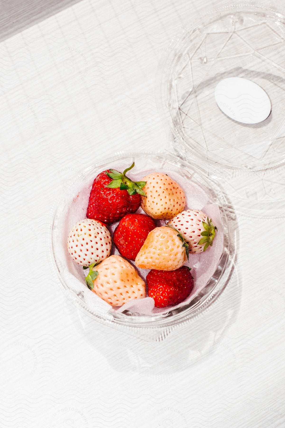 white and red strawberries sit in a plastic container