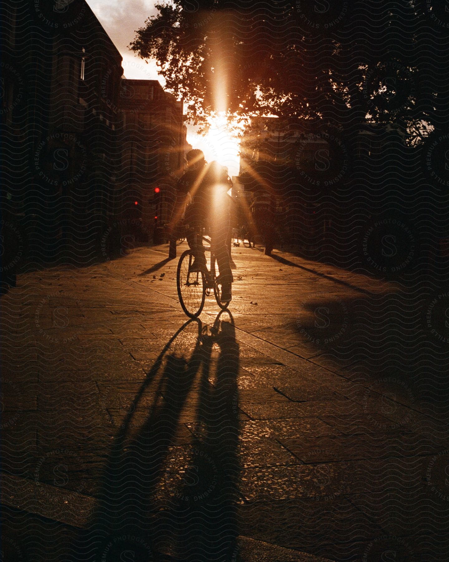 A silhouette of a man riding a bicycle down a road.