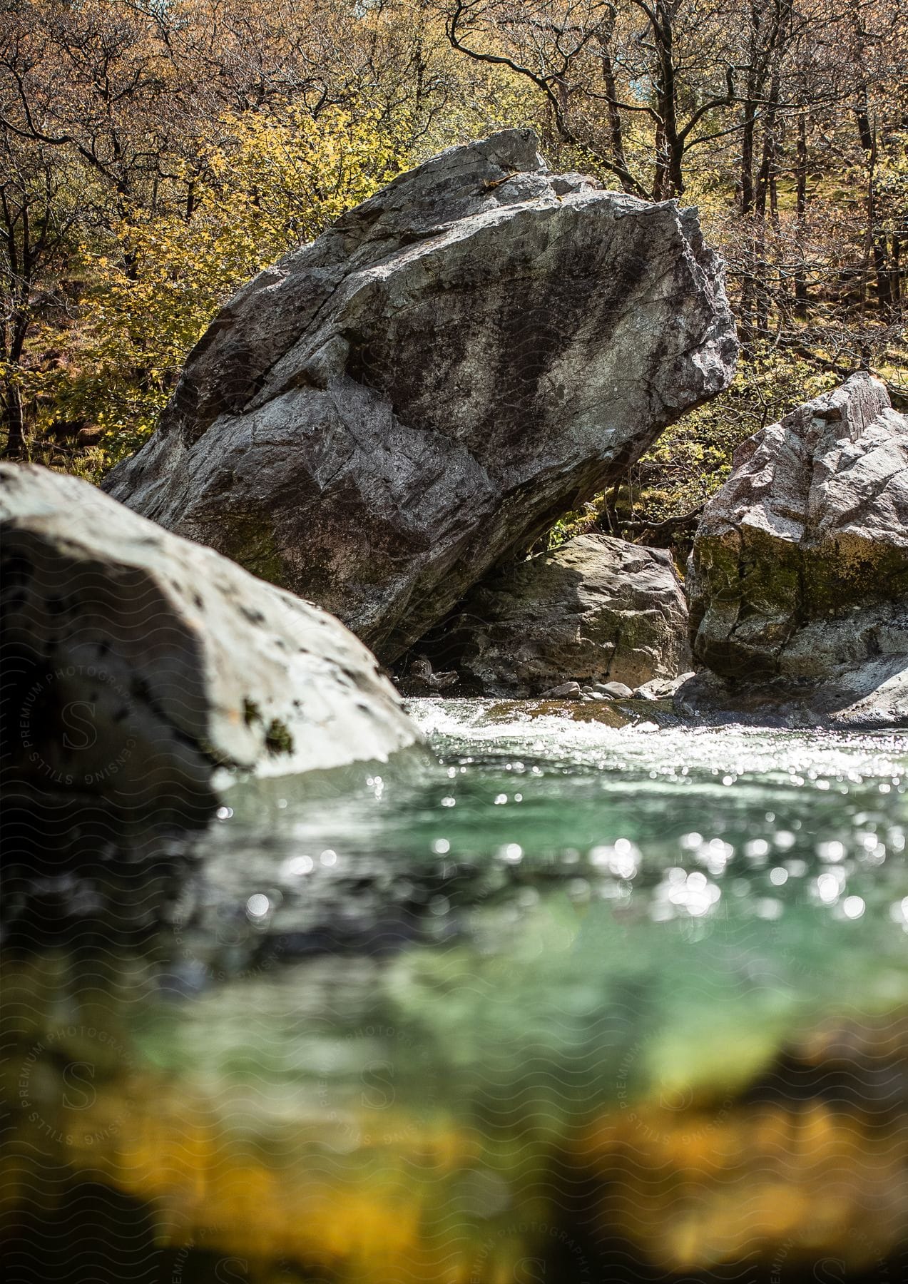 A river with crystal-clear water and jagged rocks in the distance, framed by trees ablaze with yellow leaves.