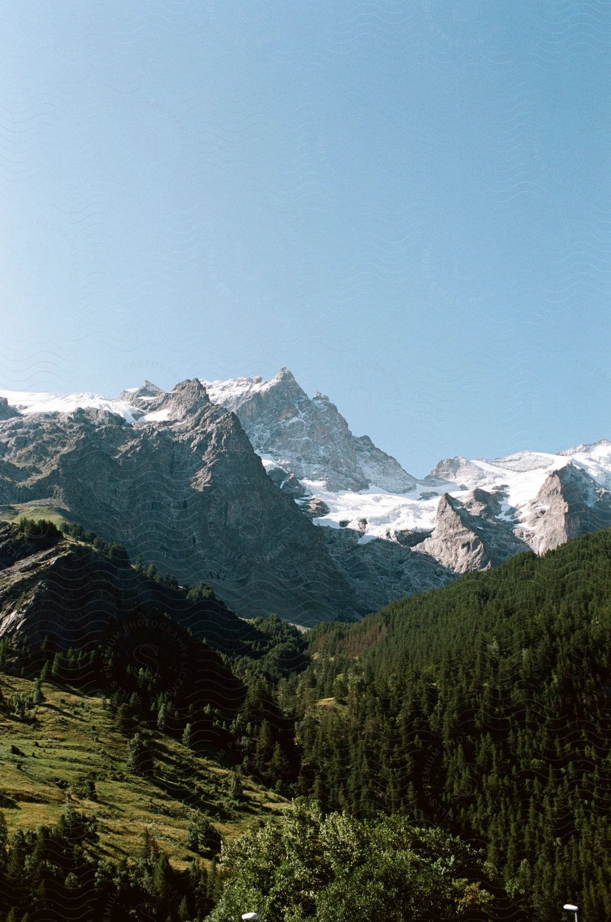 Deciduous and coniferous trees fill the foreground, while snow-capped mountains rise in the background.