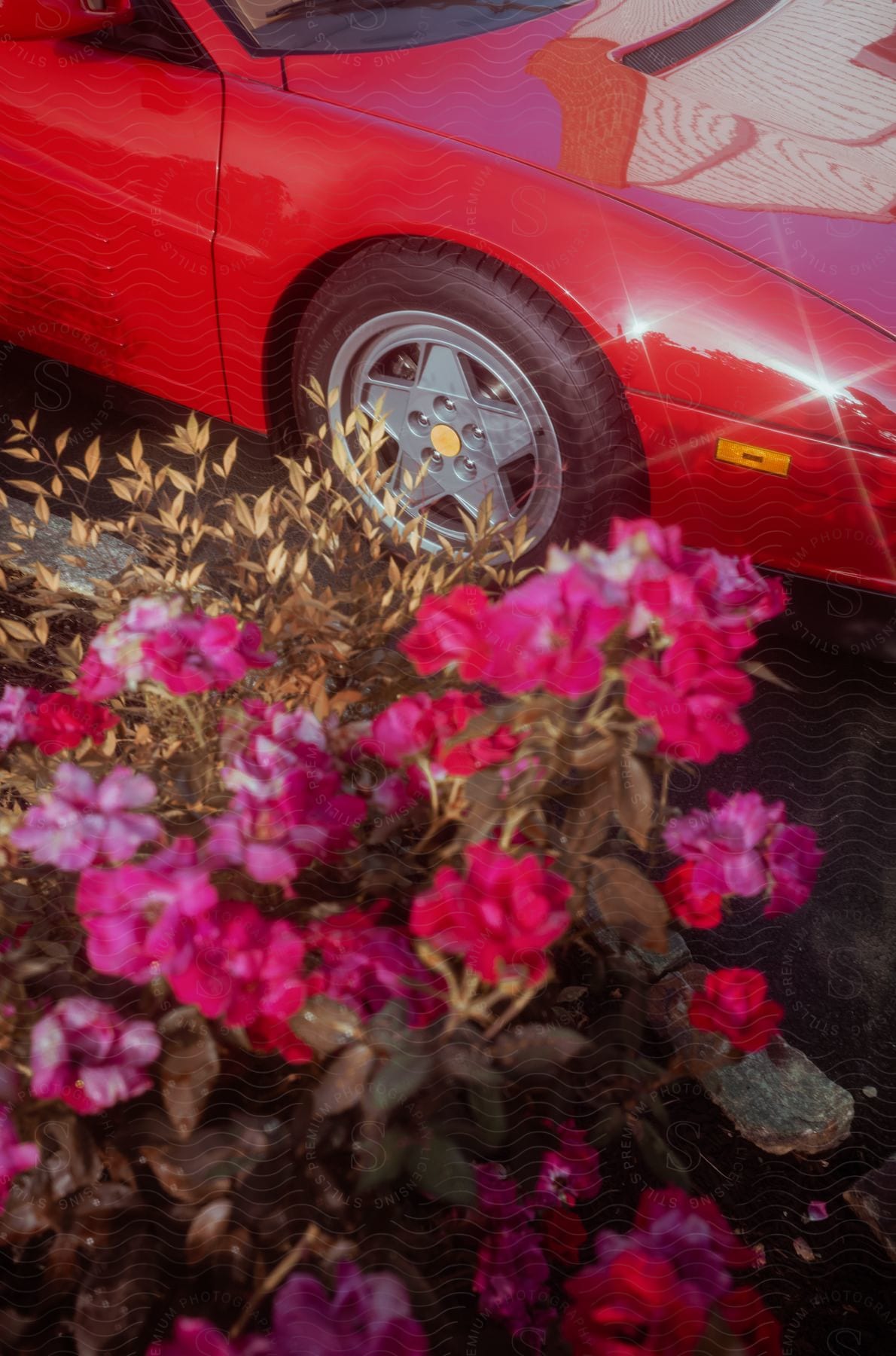 Red sports car parked next to flowers