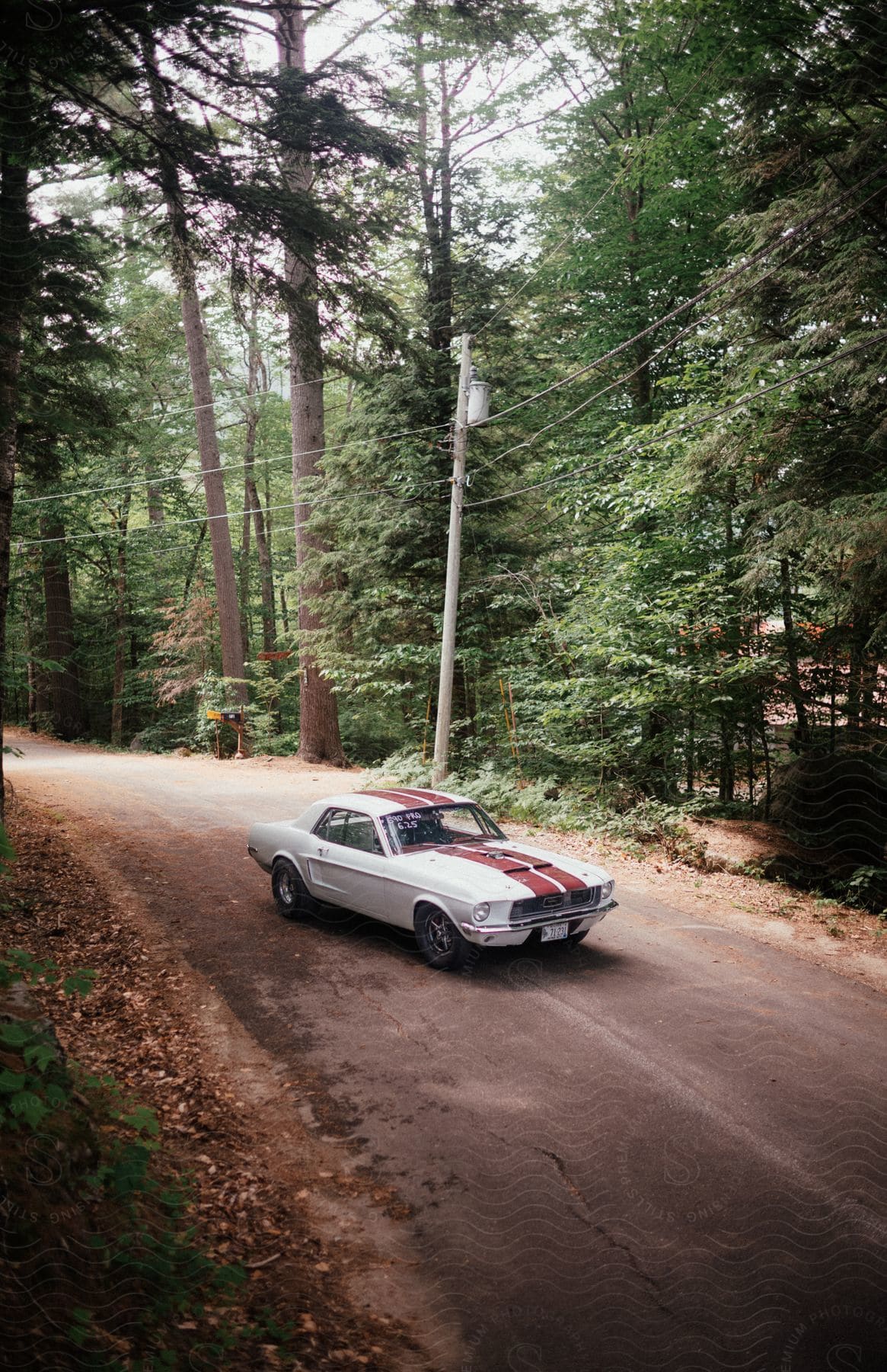 A white racecar with a red stripe down the middle is parked on a road in the woods.