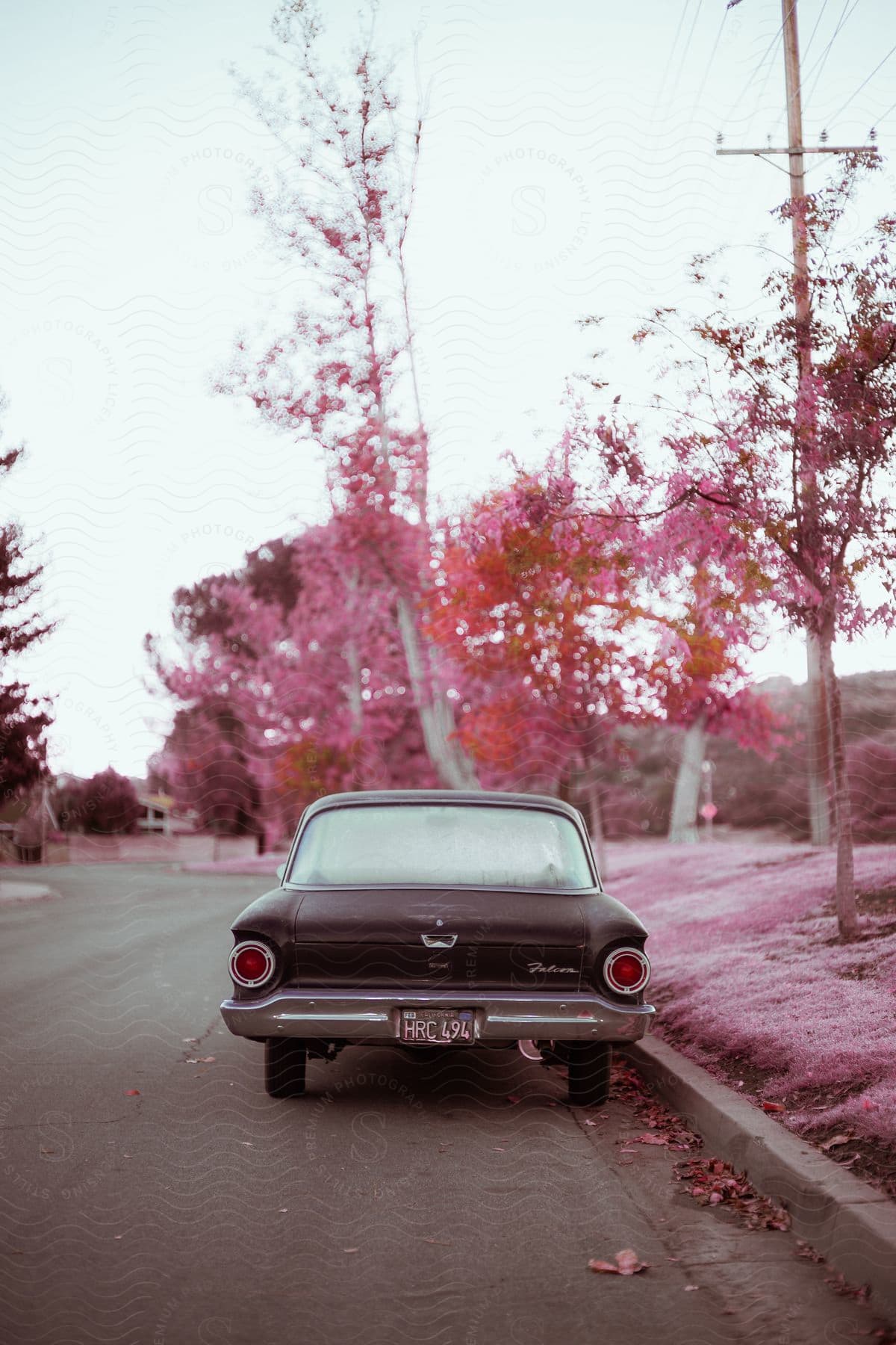 An old car with a foggy back window is parked on the side of the road near trees with pink and red leaves.