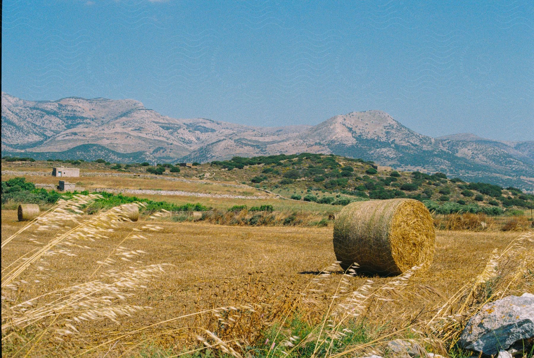 Bales of hay sit on open farmland with a house and mountains in the distance