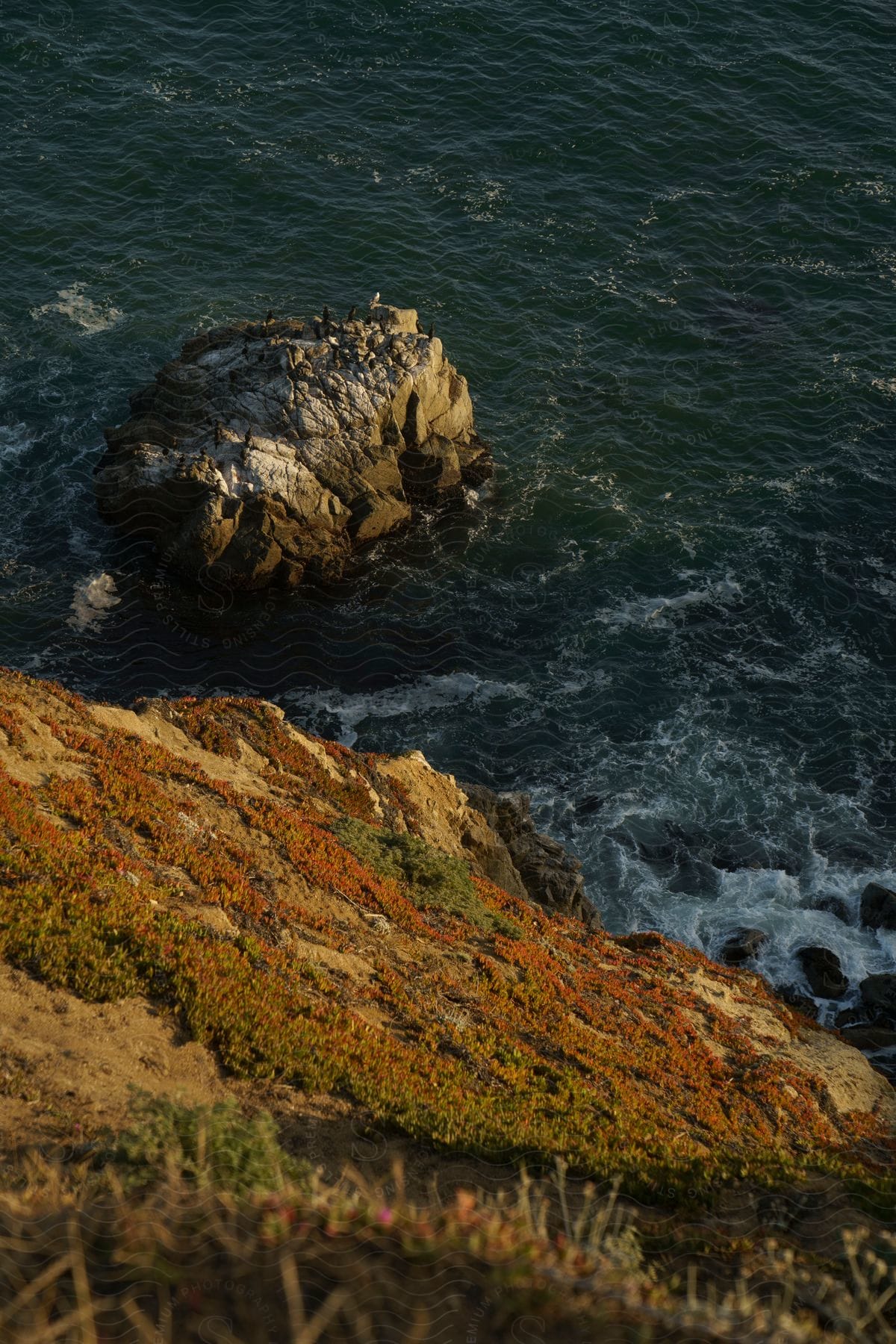 A view of some waves along the coast at a cliffside