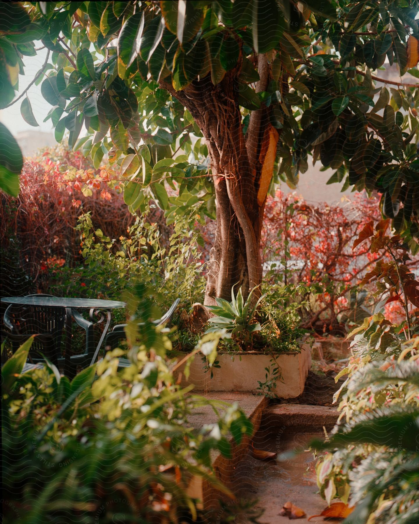 A flower garden with a green iron table.