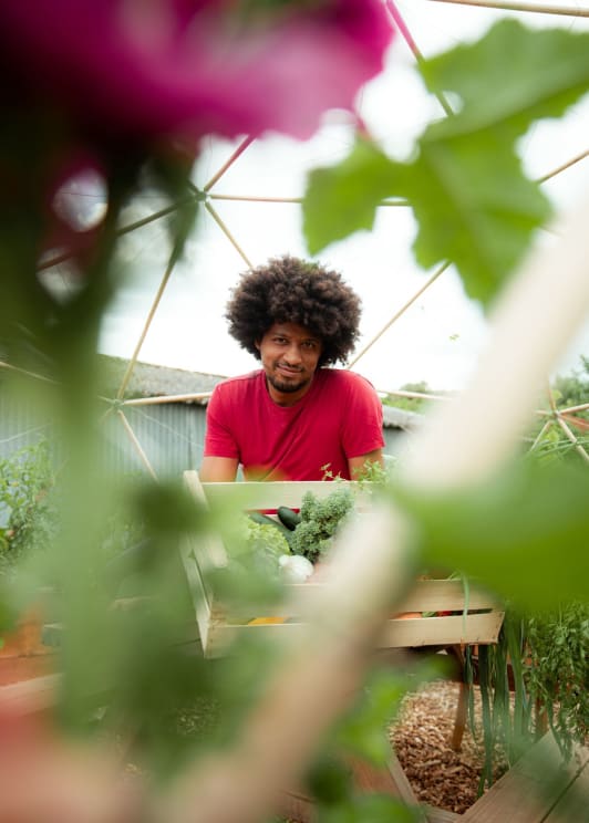 A Man Beside A Box Filled With Vegetable Inside A Green House Farm