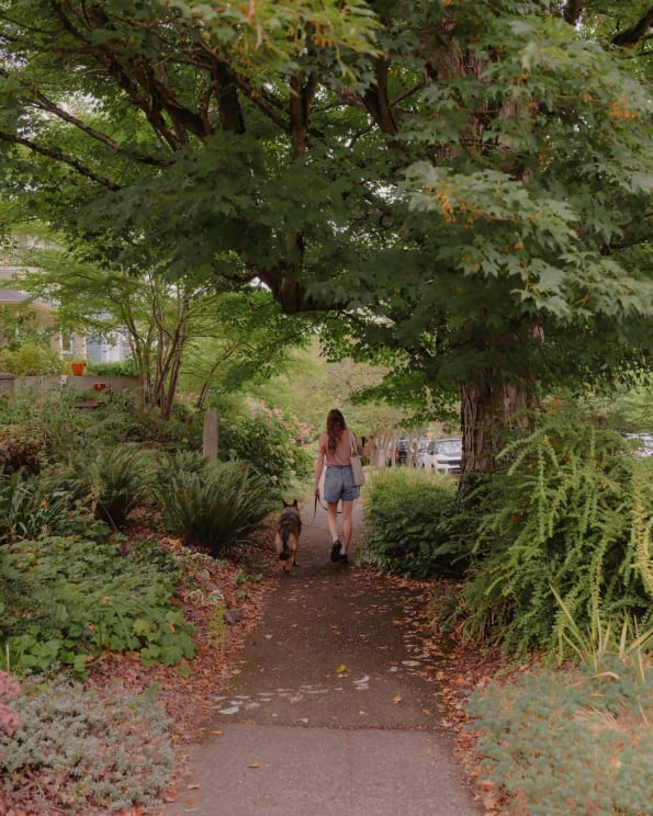 A Woman Walking Her Dog Outdoors On A Sidewalk In A Neighborhood