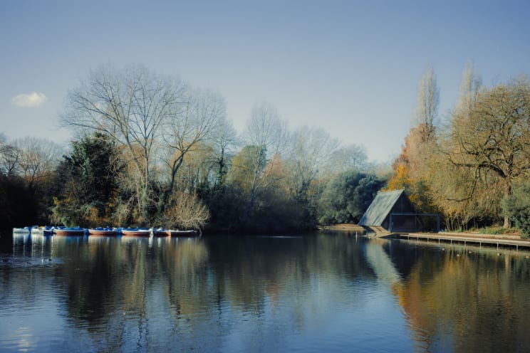 Lake Landscape In Battersea Park