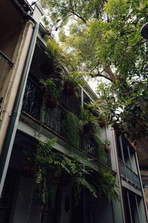 Vines And Other Plants Hang From Balconies Of Apartment Building
